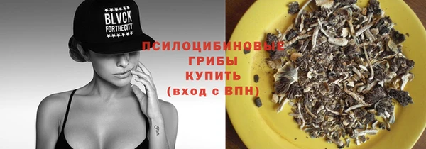 ECSTASY Богородицк