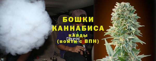 ECSTASY Богородицк