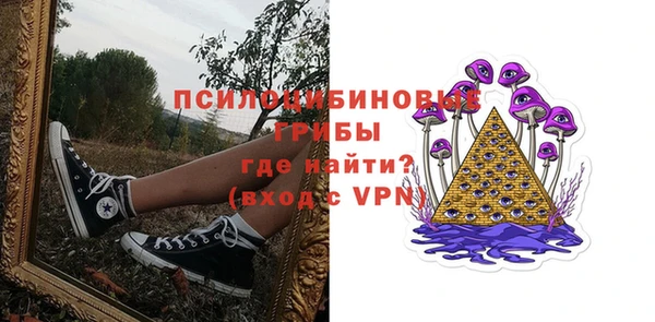 мдма Богданович