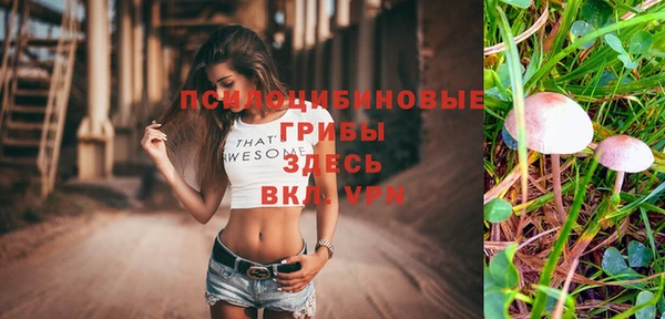 ECSTASY Богородицк